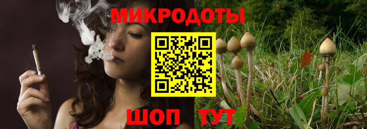 Галлюциногенные грибы GOLDEN TEACHER  Вход с VPN  где купить наркотик  Корсаков 