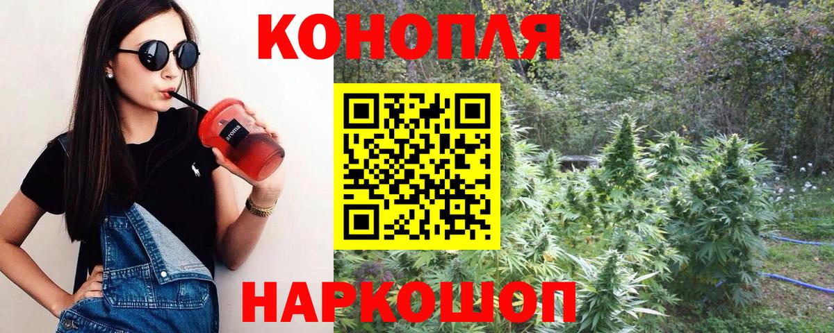 Конопля конопля Корсаков